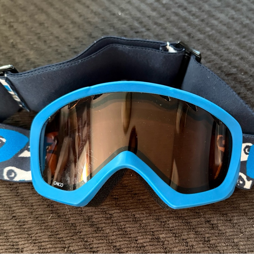 Giro Youth Ski Goggles